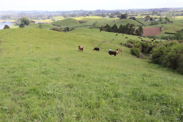 346 Lincoln Road Inglewood_15