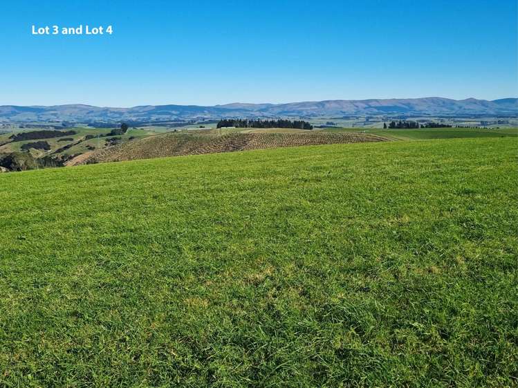 Cameron Road, Hillend Balclutha_15