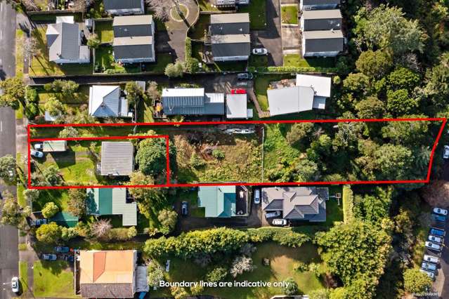 64 & 66 Wingate Street Avondale_2