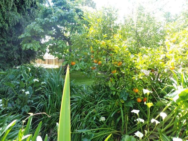 117 Cole Street Masterton_14