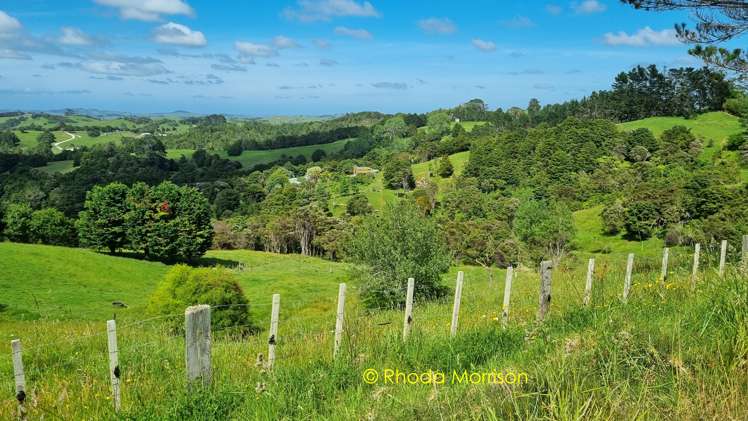 318 Franklin Road Paparoa_56