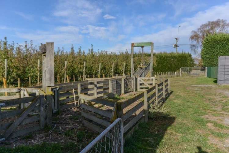 86 York Road Longlands_19