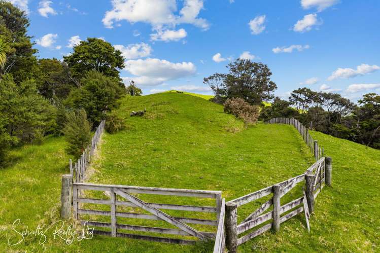 232 Arcadia Road Paparoa_16