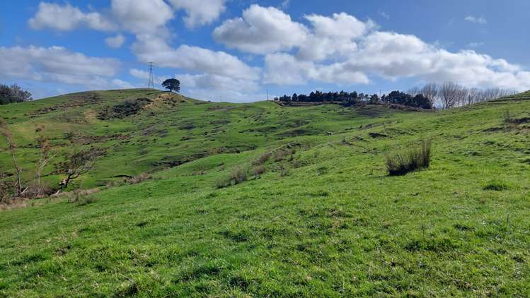 Cnr Milne and Aponga Stream Road Purua_8