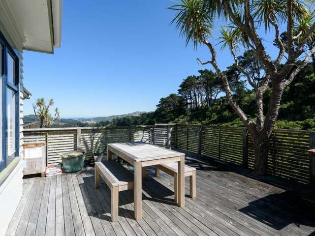 60 Hapua Street Hataitai_3