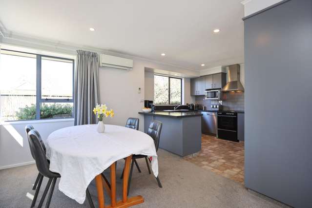 10 Maple Lane Tinwald_4