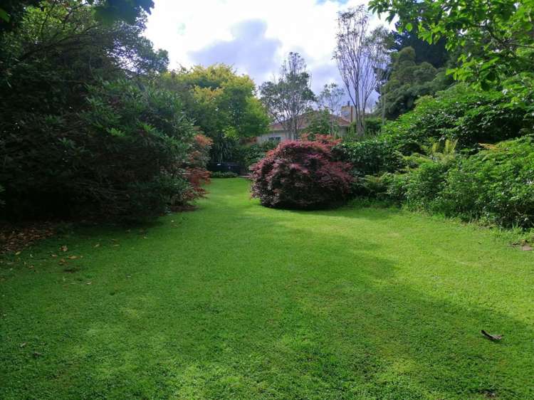 259 Surrey Hill Road Oakura_13