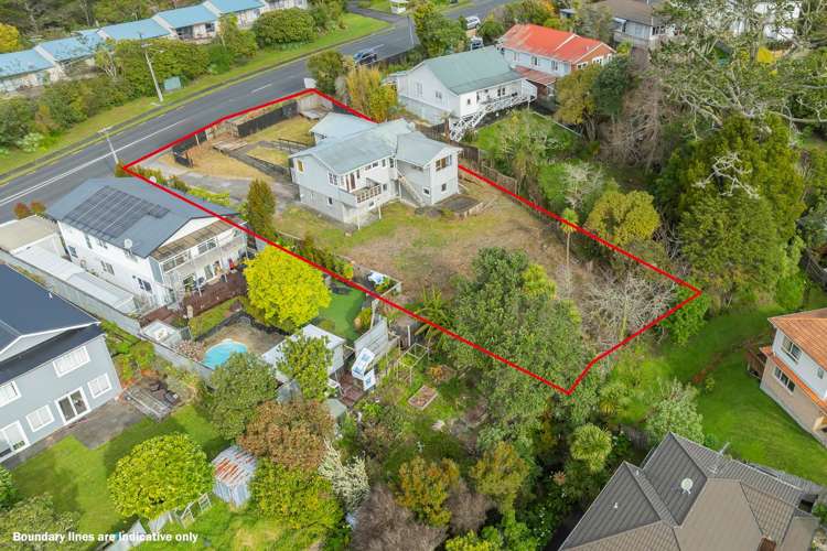 46 The Avenue Albany_17