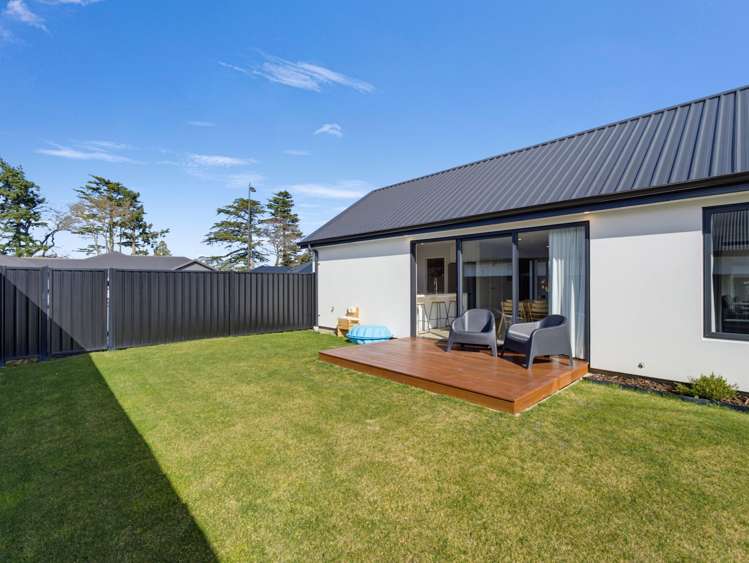 12 Jag Way Tinwald_28