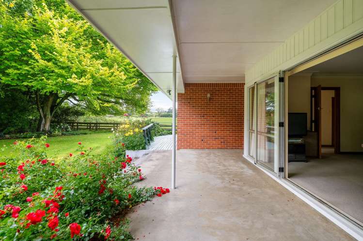 119 Ringer Road Tauwhare_7