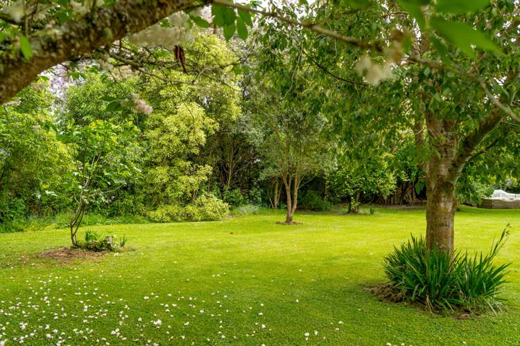 4 Homestead Lane Greytown_16