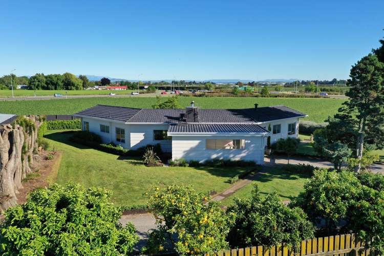 133 York Road Longlands_21