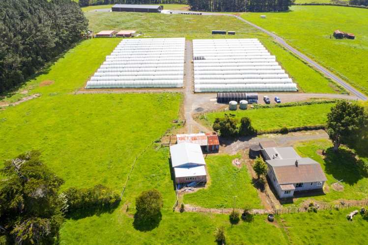 7 Ridge Road Tuakau_5