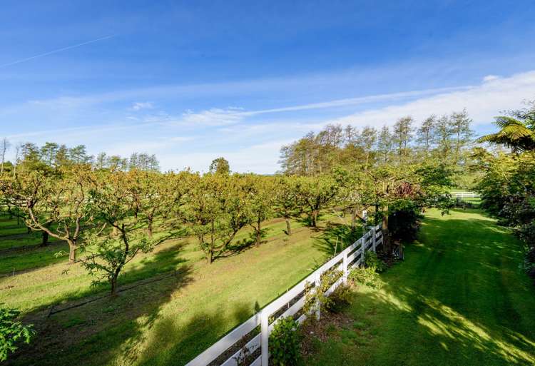 598 Takaka-Collingwood Highway Kahurangi National Park_6