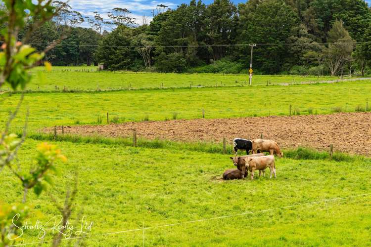 67 Taipuha Settlement Road Paparoa_39