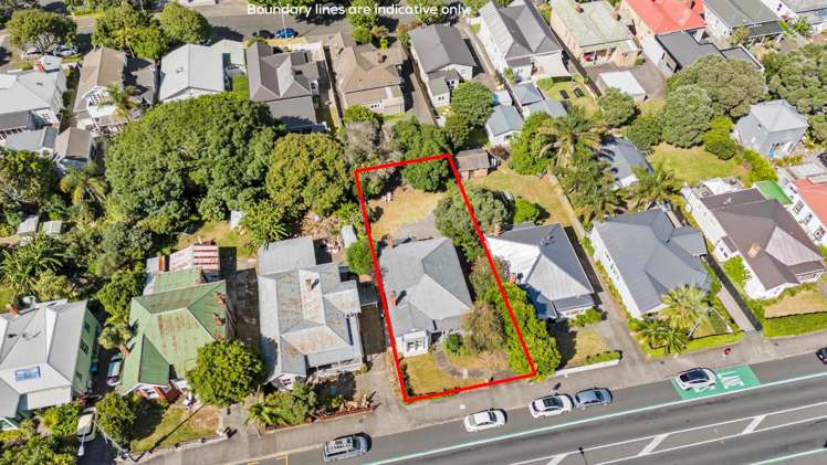 18 Sandringham Road Mount Eden_15