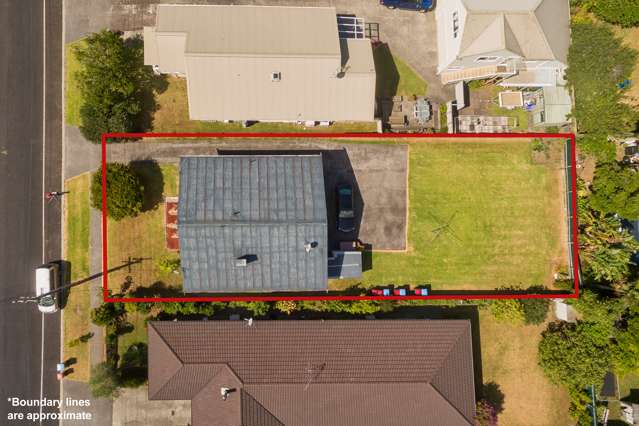 36 Harlston Road Mount Albert_2