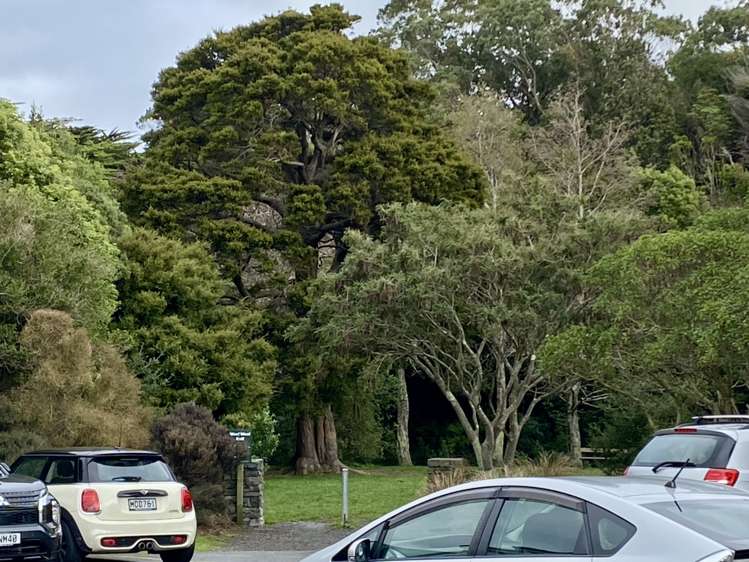 55 Ottawa Road Ngaio_11