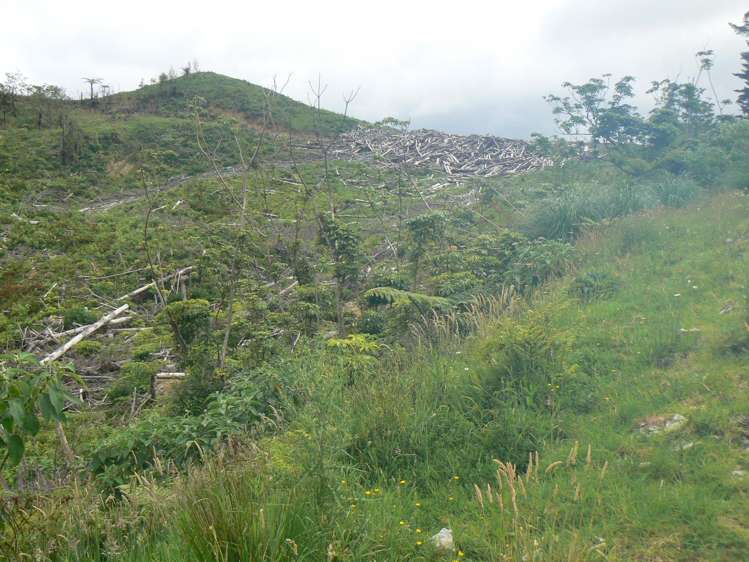 Lot 65 Stoney Creek Road Mangamuka_16