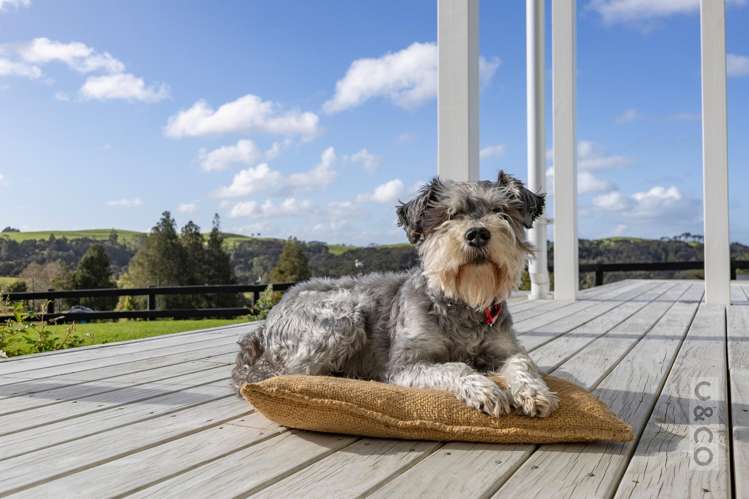 93 Alf Access Road Helensville_13