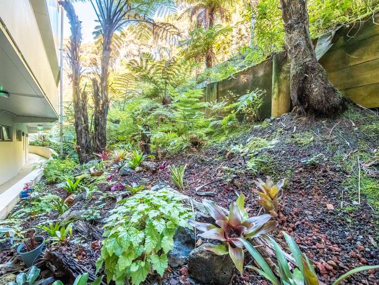 207/7 Te Rangi Cross Road Paihia_18