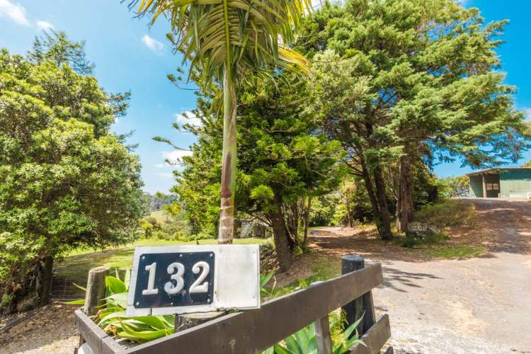 132 Foley Quarry Road Dairy Flat_23