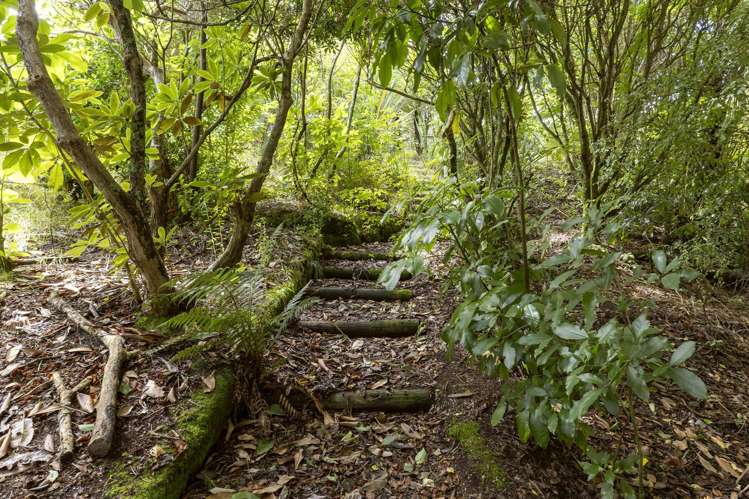 944 Mapara Road Kinloch_29