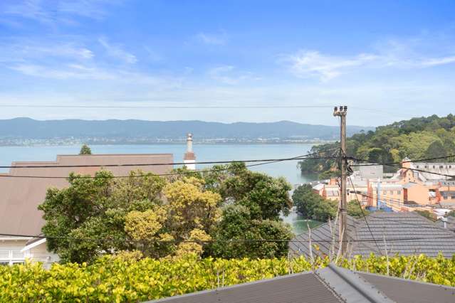 17 Palmerston Road Birkenhead_4