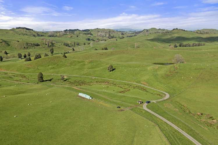 Mangatea Road Te Kuiti_5