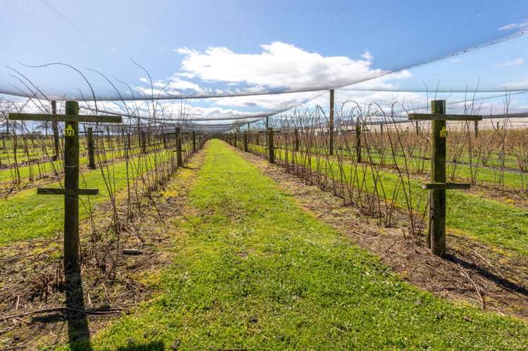 5932 State Highway 27 Ngarua_4