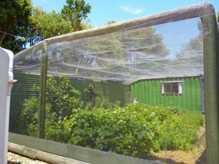 8 Freeman Access Kahurangi National Park_11