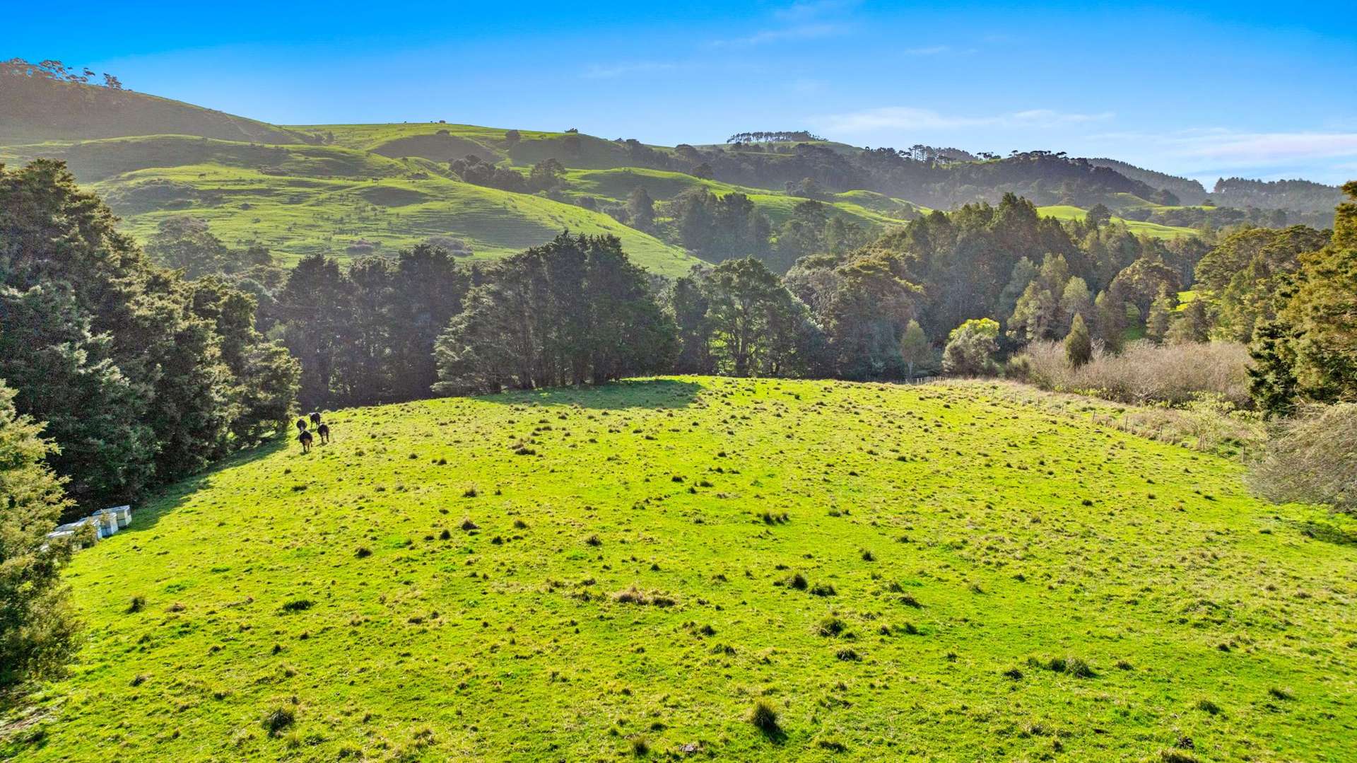 125a Taylor Road Waimauku_0