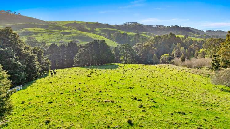 125 Taylor Road Waimauku_27