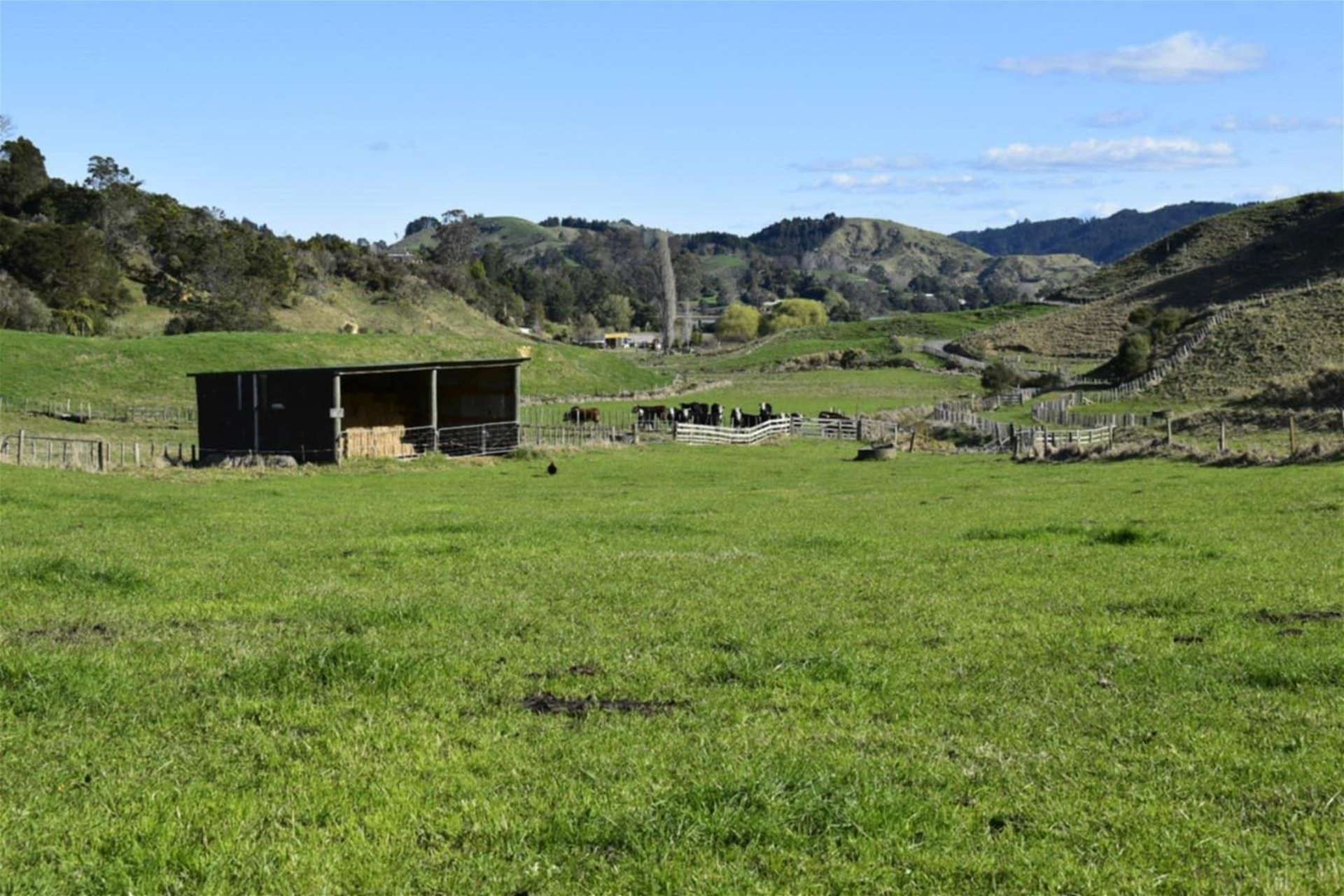 Lot 5/80 Ruatuna Road Waiotahi_0