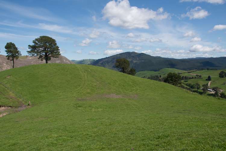 44 Coates Road Waikite Valley_9