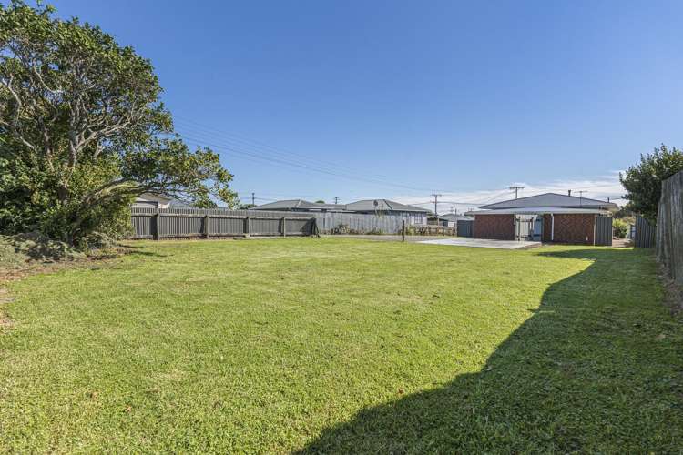 12 Saxton Road Upper Vogeltown_22