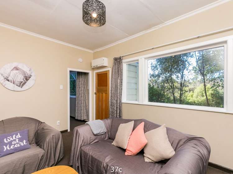 37 Devon Street Aro Valley_15