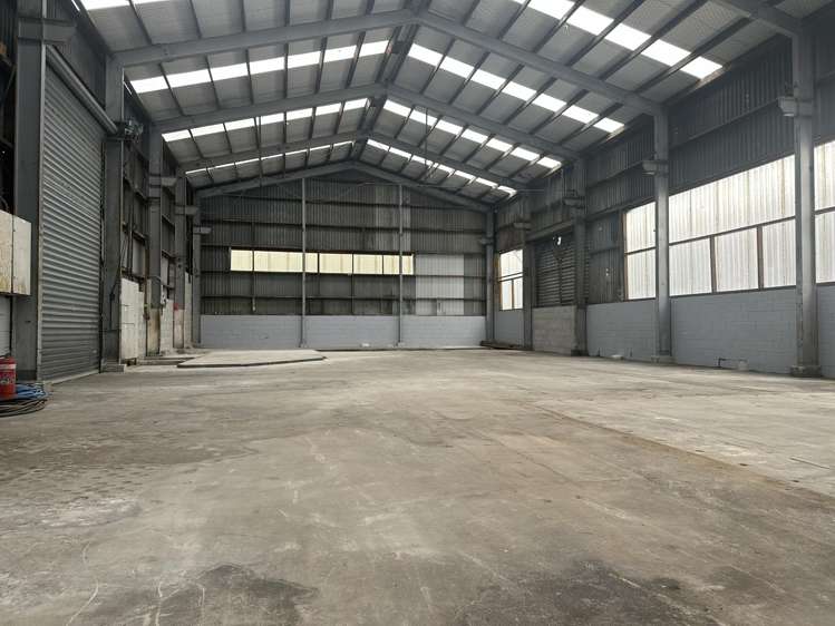 591 Rosebank Road Avondale_3