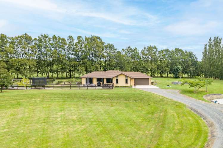 680H Quine Road Morrinsville_32