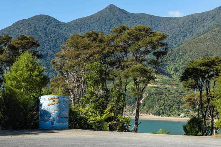 Kanuka Summits Okiwi Bay_22