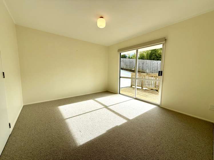 7B Rose Street Raglan_9