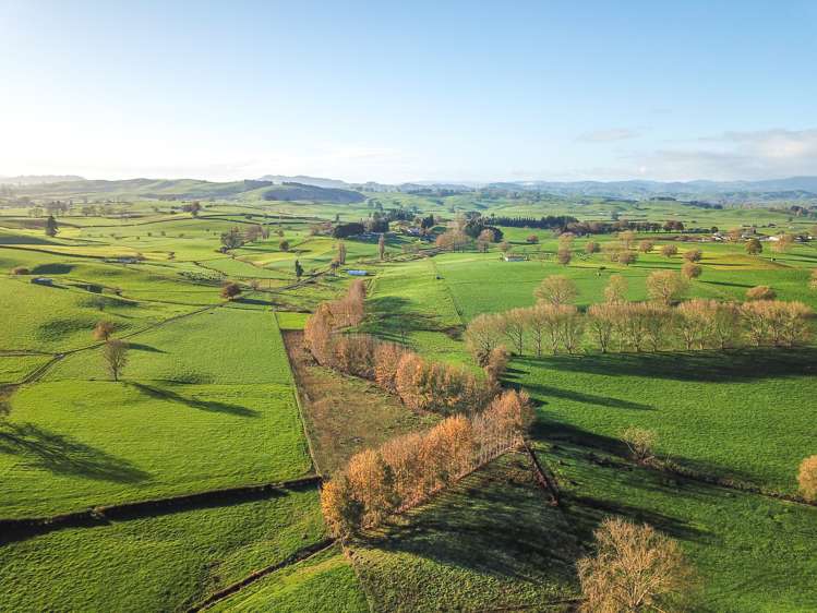 93 Blackett Road Otorohanga_5