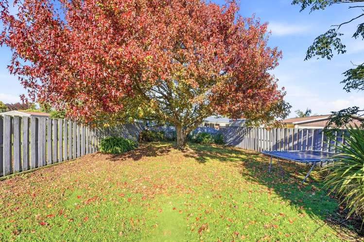 29 Exeter Crescent Springvale_17