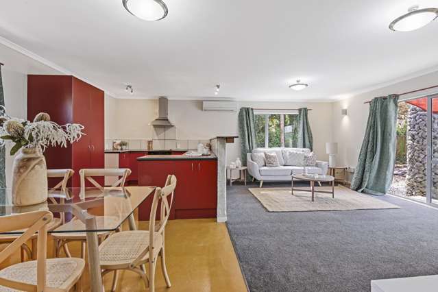 19a Tennyson Street Sydenham_2
