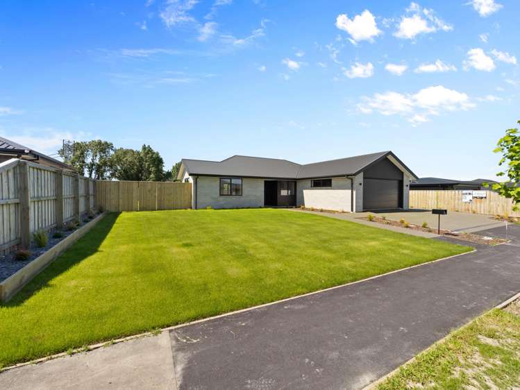 15 Orwell Way Hampstead_17