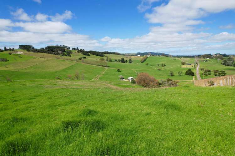 Morrison Road Dargaville_12