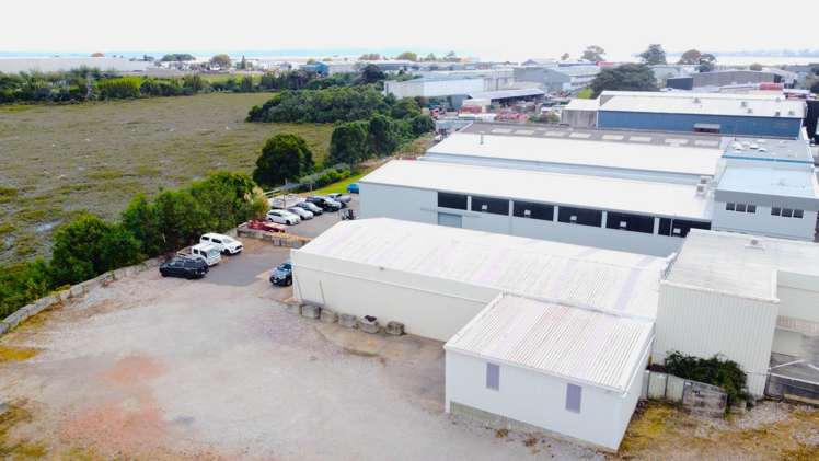 39 Timothy Place Avondale_10