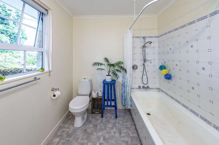 220 Watt Livingstone Road Westmere_12