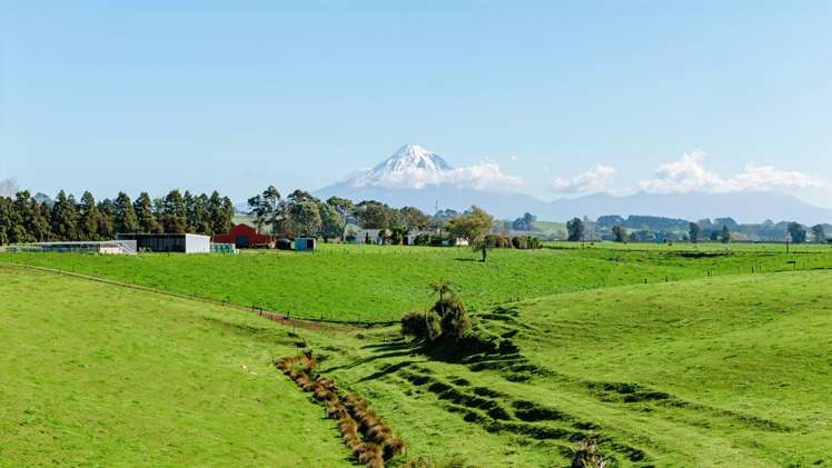 319 Waiau Road Onaero_19