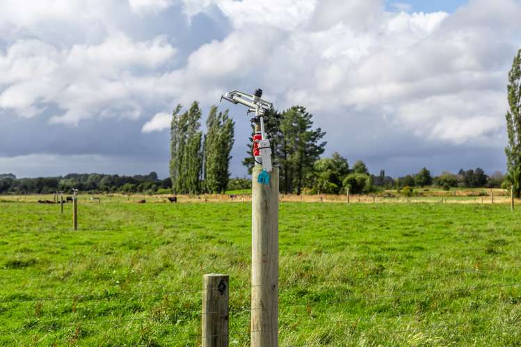 589 Coutts Island Road Coutts Island_21